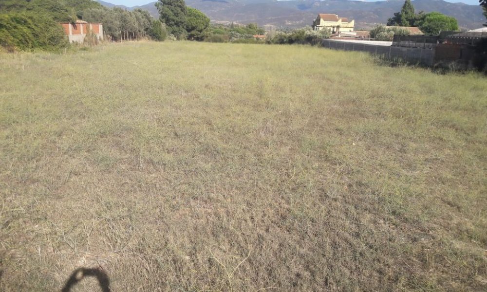 Flumini via Filia Terreno Agricolo4