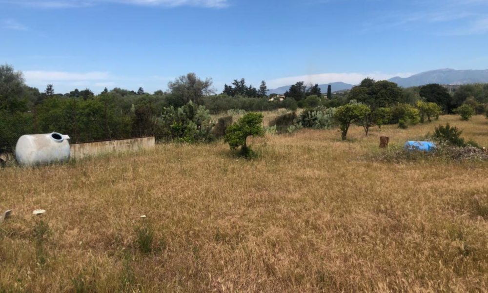 Terreno Agricolo S’Isidoro 3 MO81 (1)