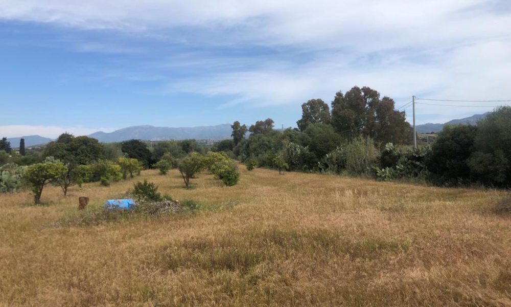 Terreno Agricolo S’Isidoro 4 MO81