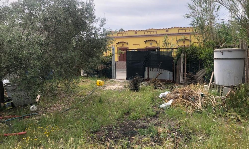 Terreno Agricolo S’Isidoro 5 MO81 (1)