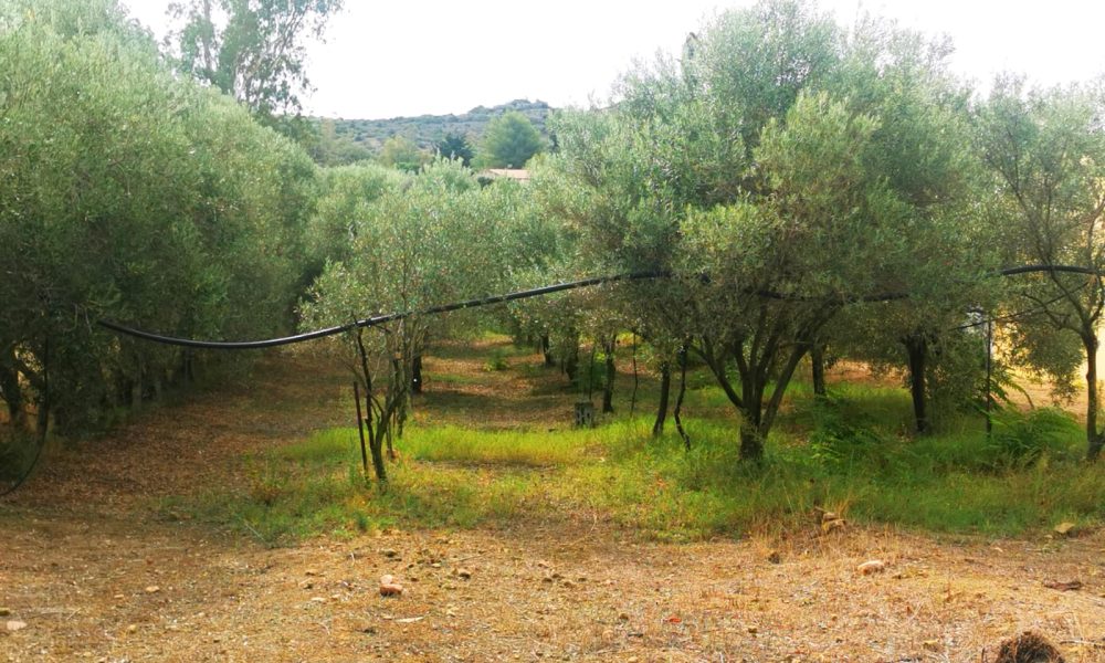 WhatsApp Image 2024-09-26 at 08.58.47 (1)